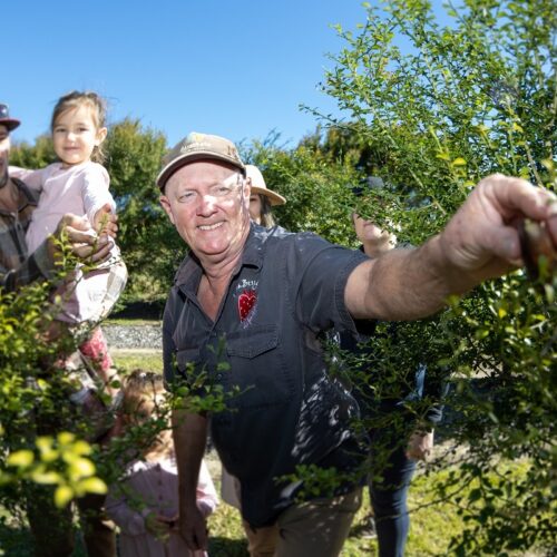 Best of Queensland Experiences Program