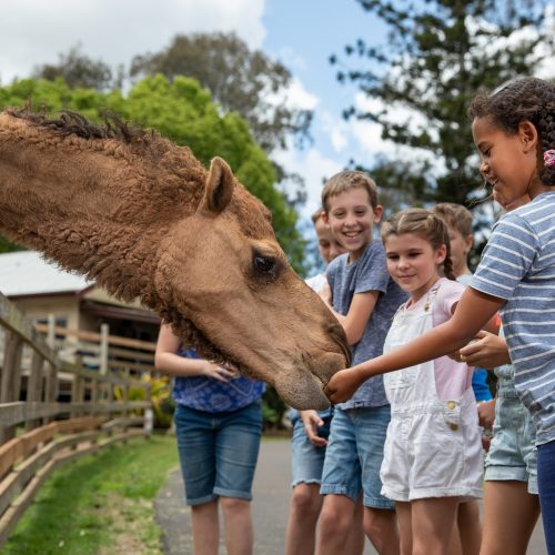 Transformational Experiences Mentoring Program | EOI CLOSES Wed 12th December