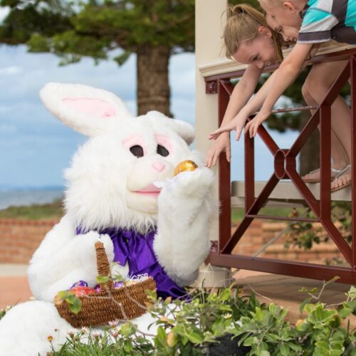 Hop into Moreton Bay this Easter