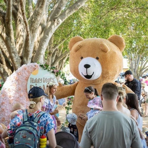 Teddy Bears Picnic